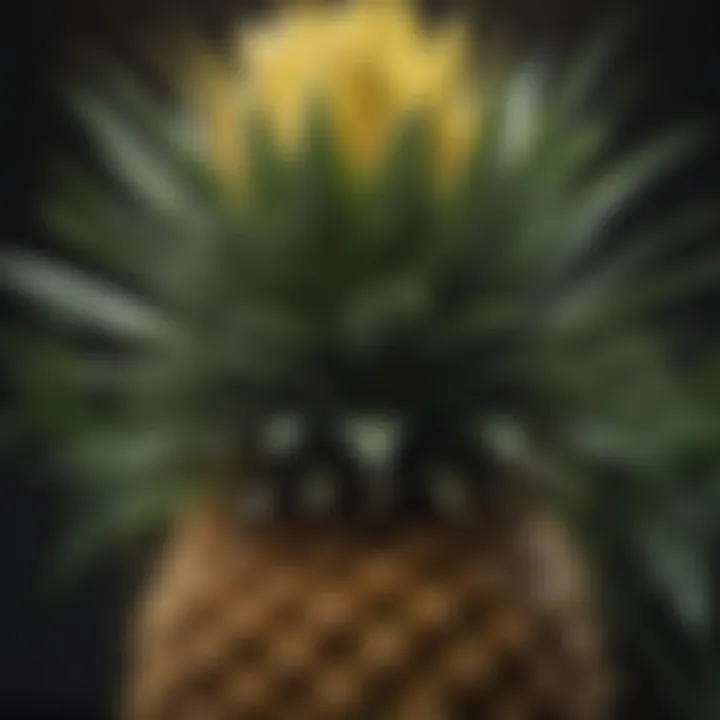 Graph illustrating the relationship between light, temperature, and pineapple flowering.