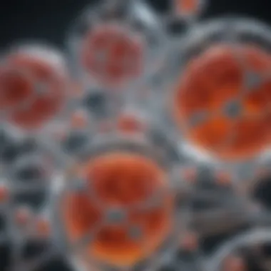 The Significance of 2-O-Methyl Modification in Nucleic Acids Summary The Significance of 2-O-Methyl Modification in Nucleic Acids Summary