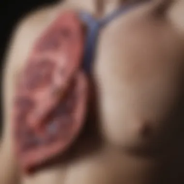 Treatment Modalities Chart illustrating treatment options for lung infections