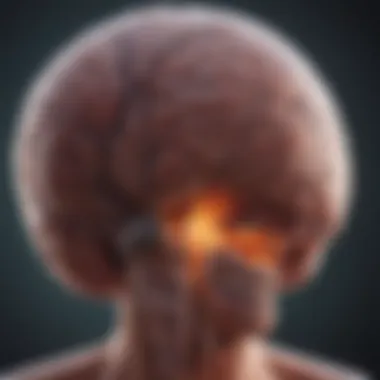 Exploring Malignant Tumours Illustration of malignant tumours