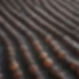 A close-up view of an ANA test result showing various patterns