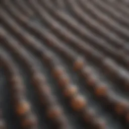 A close-up view of an ANA test result showing various patterns