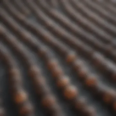 A close-up view of an ANA test result showing various patterns