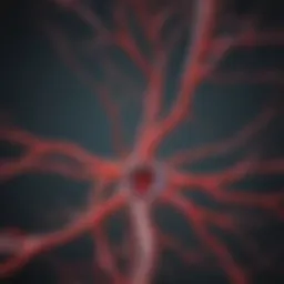 Detailed view of an angiogram highlighting blood vessel pathways