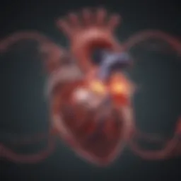 Illustration of the heart showcasing the electrical pathways affected by atrial fibrillation.