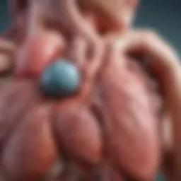 Diagram illustrating the mechanisms of atrial fibrillation and heart failure