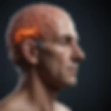 Current Treatment Strategies for Brain Failure An infographic depicting current treatment strategies for brain failure