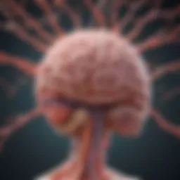 Illustration depicting the connection between brain health and gastrointestinal function