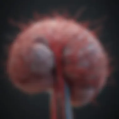 Cerebral Blood Flow Mechanics Visual representation of cerebral blood flow mechanics