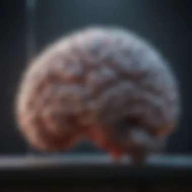Measurement Methods of Brain Perfusion Diagram of methodologies for measuring brain perfusion