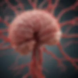 Illustration depicting inflammation in brain blood vessels