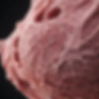 Mammography Process Highlighting Microcalcifications Mammography process showcasing microcalcifications