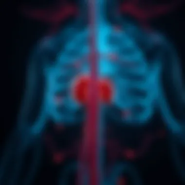 Graph depicting the stages of kidney impairment