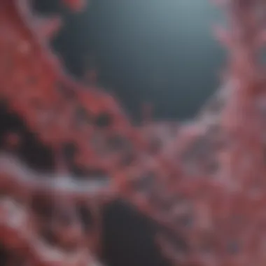 Genetic Mapping of Double Negative Cancer Genetic mapping of double negative cancer