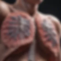Visual representation of lungs affected by end-stage COPD