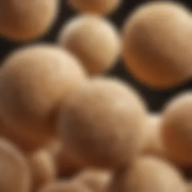 Illustration of beige fat cells