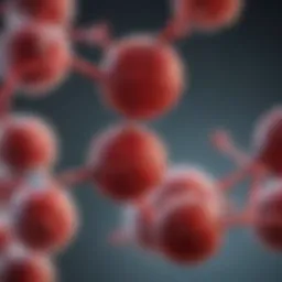 Genetic structure of Haemoglobin C