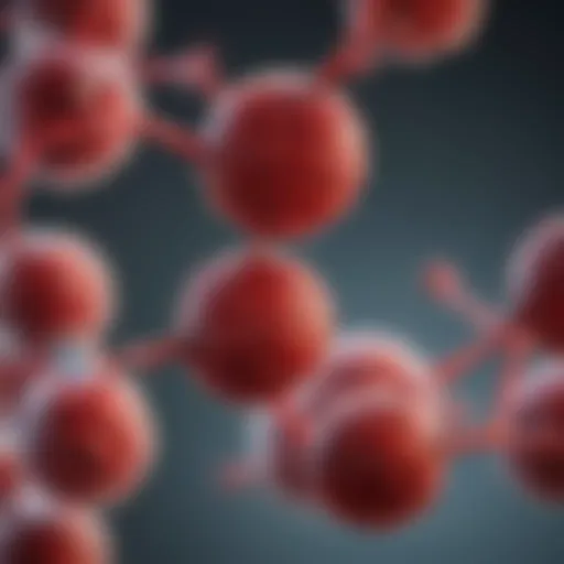 Genetic structure of Haemoglobin C