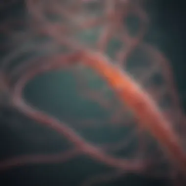 Transmission Pathways of H. pylori Infographic illustrating H. pylori transmission routes