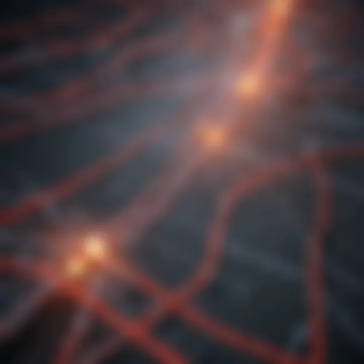 Graphical representation of HIV transmission routes