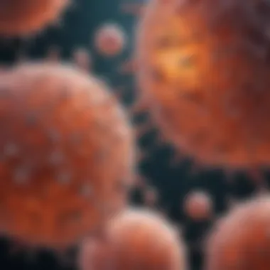 Microscopic Examination of JMML Cells Microscopic view of leukemia cells
