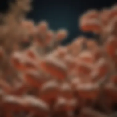 Notable Understanding Lactobacillus plantarum 299: Implications and Applications Notable Understanding Lactobacillus plantarum 299: Implications and Applications