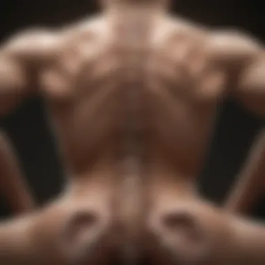 Treatment Modalities for Spinal Lesions Visual representation of treatment options for spinal lesions