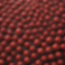 Graph depicting red cell distribution width variations