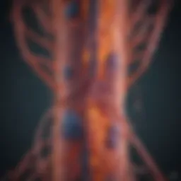 Illustration of metastatic pathways in prostate cancer