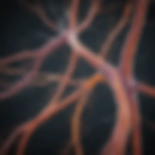 Illustration depicting the neural pathways affected by Multiple Sclerosis