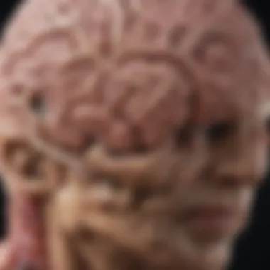 Notable Understanding Neurofibromatosis Type 1 and Associated Brain Tumors