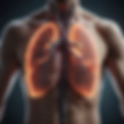 Lung parenchyma illustration highlighting gas exchange