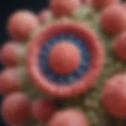 Illustration depicting the herpes simplex virus structure
