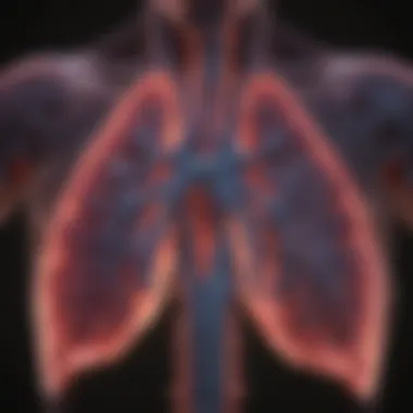 PET Scan Visualization of Lung Anomalies Visualization of PET scan highlighting lung anomalies