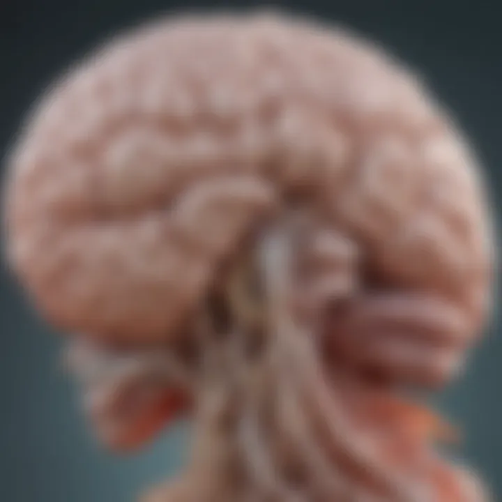 Illustration depicting brain activity related to spastic hemiparesis