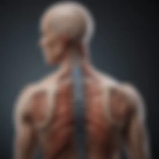 Understanding T12 Incomplete Spinal Cord Injury: A Comprehensive Overview Introduction