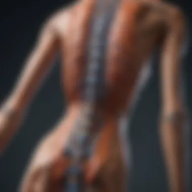 Understanding T12 Incomplete Spinal Cord Injury: A Comprehensive Overview Summary Understanding T12 Incomplete Spinal Cord Injury: A Comprehensive Overview Summary