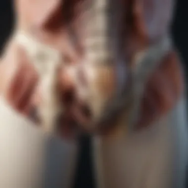 Hip Anatomy and Common Fractures Illustration of hip anatomy highlighting fracture areas