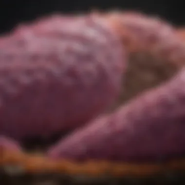 Survival Rates in Pancreatic Cancer Graph showing survival rates in pancreatic cancer patients with liver metastasis