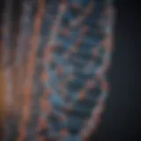 Visual representation of the protein ladder concept