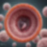 Illustration of the Trichomonas vaginalis parasite