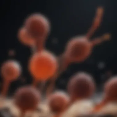 Molecular Markers in Melanoma Staging Graphic illustrating the role of molecular markers in melanoma