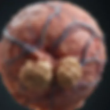 Visualizing Ependymoma Tumors Ependymoma Tumor Representation