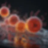 Illustration depicting the biochemical reaction of urease activity in microorganisms.