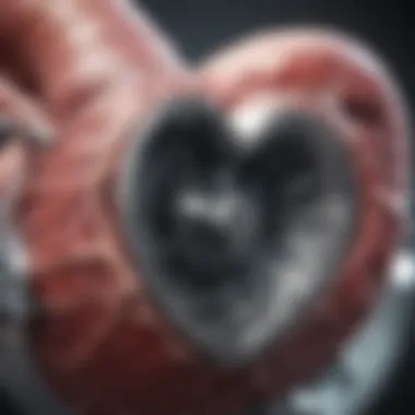 Close-up view of a heart valve in operation