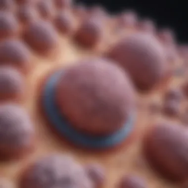 Growth Patterns of Lobular Carcinoma Diagram illustrating growth patterns of lobular carcinoma