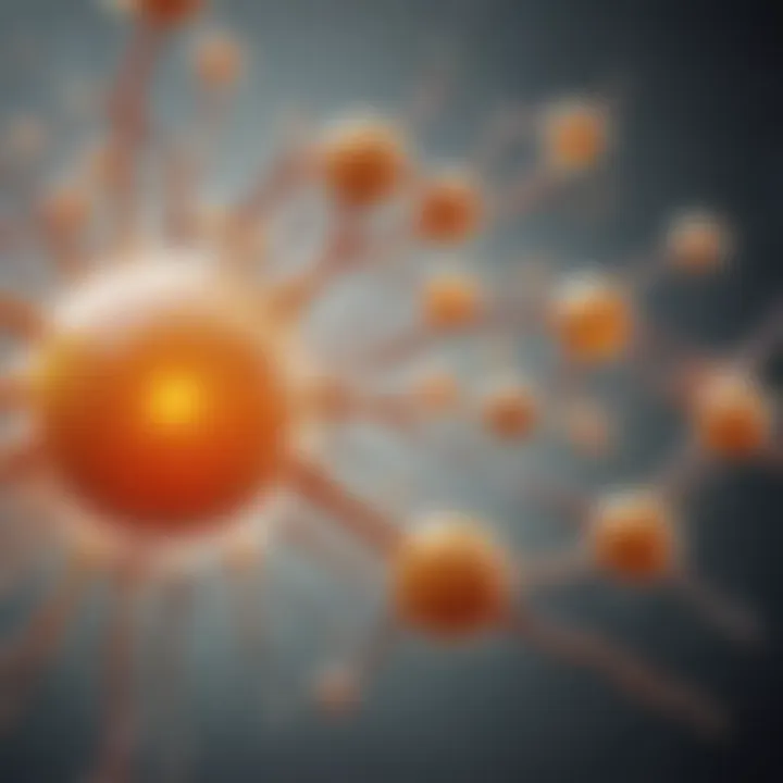 Diagram illustrating the biochemical roles of vitamin D