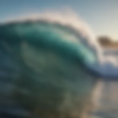 Diverse Types of Waves in Nature Illustration of different types of waves