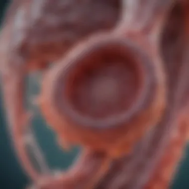 Recent Research Insights on Urothelial Carcinoma Research findings related to urothelial carcinoma