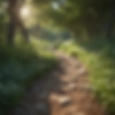 Nature's Pathway for Heart Health A serene pathway surrounded by vibrant greenery encouraging walking